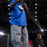 Ruisrock 2015 | Public Enemy (44/280)